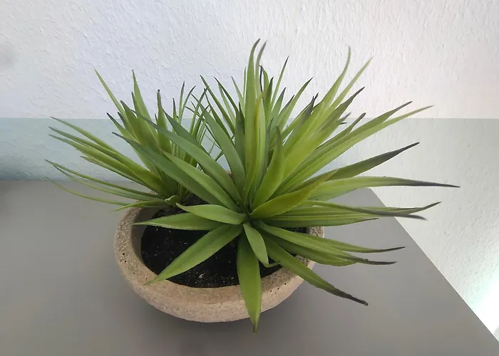 Апартаменты Renove A Jean De Monts - Face A La - Internet Rapide - Fr-1-323-496