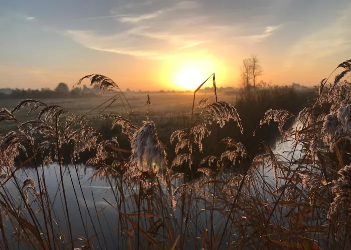 Renove A Jean De Monts - Face A La - Internet Rapide - Fr-1-323-496