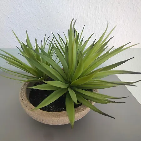 Appartamento Confort à Jean De Monts - à Proximité, Parking, Wi-fi - Fr-1-323-496